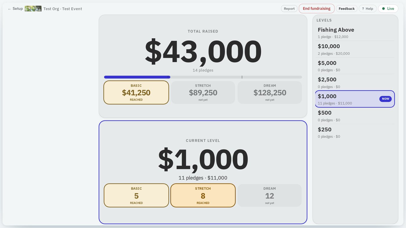 Auctioneer View showing total raised, current level and the level list